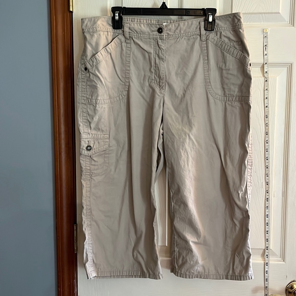 Christopher & banks-16-tan Capri lightweight pants. three pockets in the front.